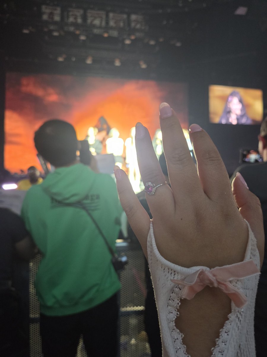 Stupid Cheese Cat 🐱 tweet media