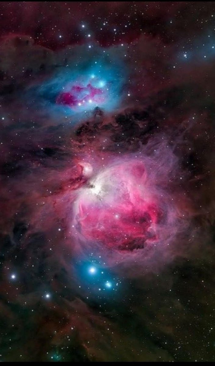 M42 Great Orion Nebula by Alistair Scoby (astrobin)
