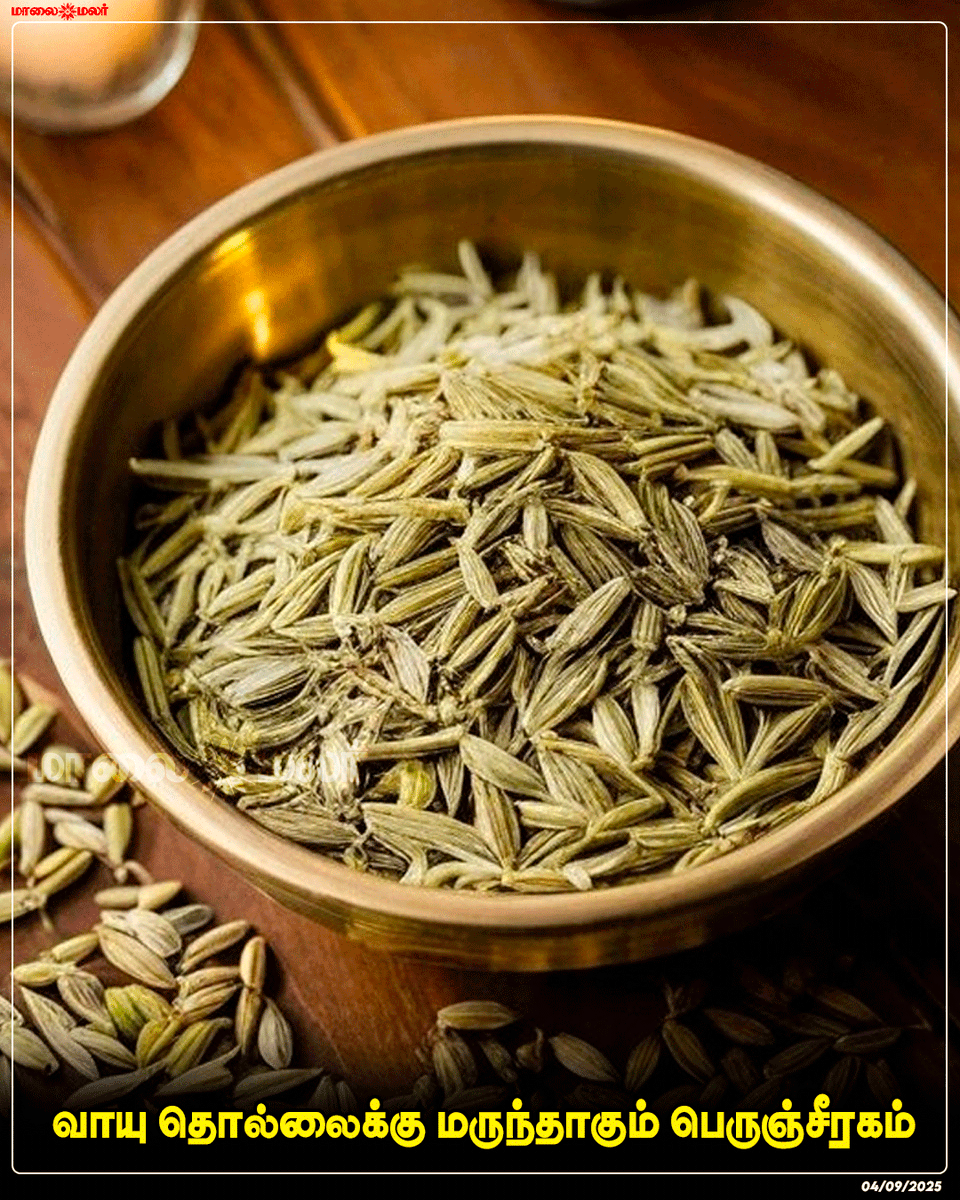 maalaimalar's tweet image. மேலும் படிக்க : maalaimalar.com/web-stories/fe…

#FennelSeeds #GasRelief #HomeRemedy #NaturalMedicine #DigestiveHealth #Ayurveda #HealthyLiving #Maalaimalar