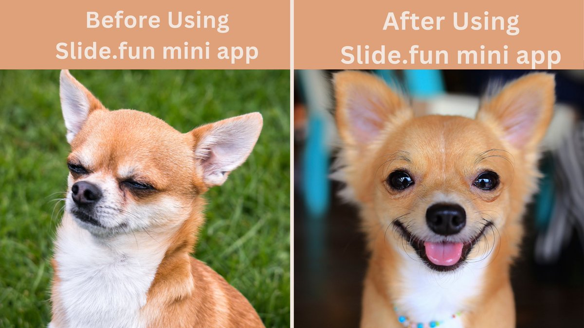 HapiDeFi's tweet image. 🎮✨ Discover @SlideFunBot where trading feels like play

One simple move: slide ➡️ swap ➡️ celebrate 🚀
Forget the stress of charts, it’s all about fast, fun, and fully on-chain action

Jump in and slide your way through crypto 👉 slide.fun

#Web3 #MiniApp