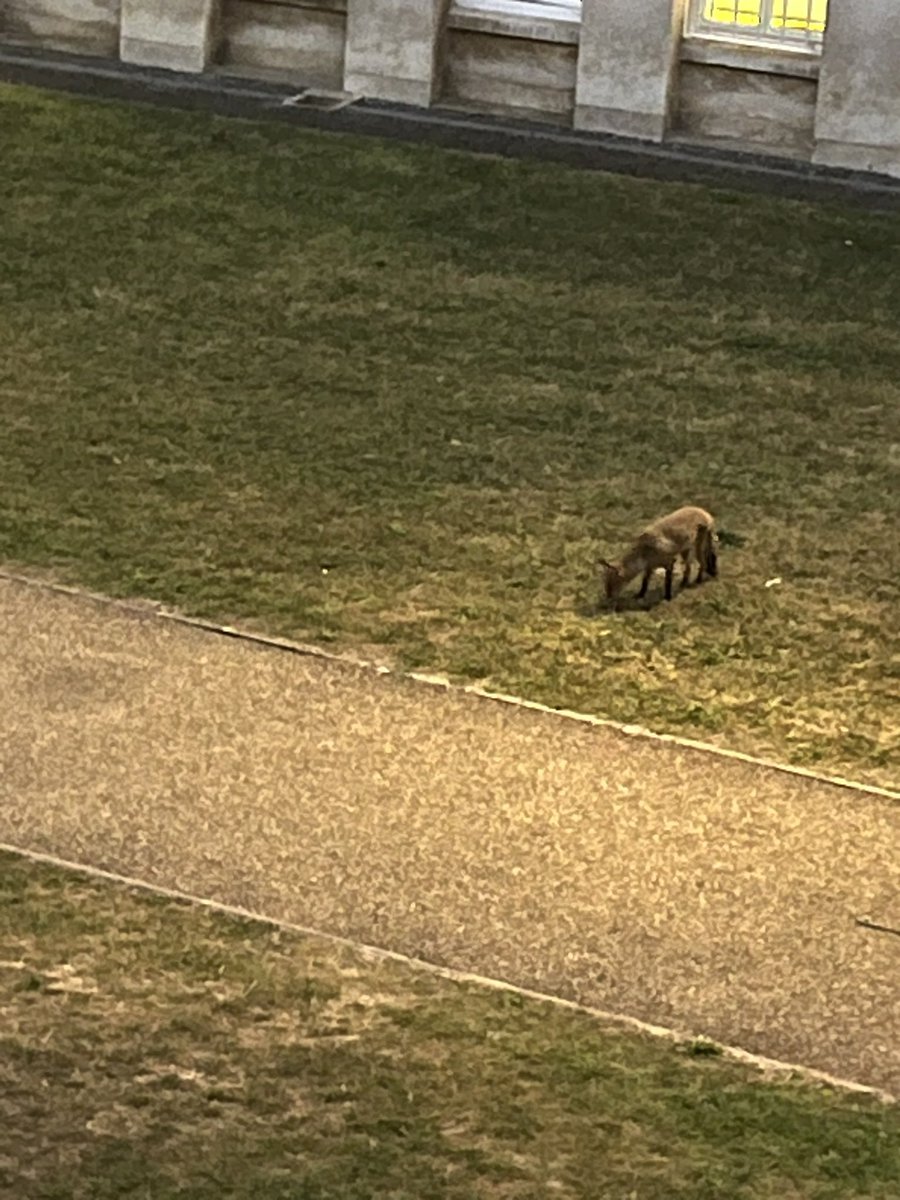 Anas Aldadi tweet media