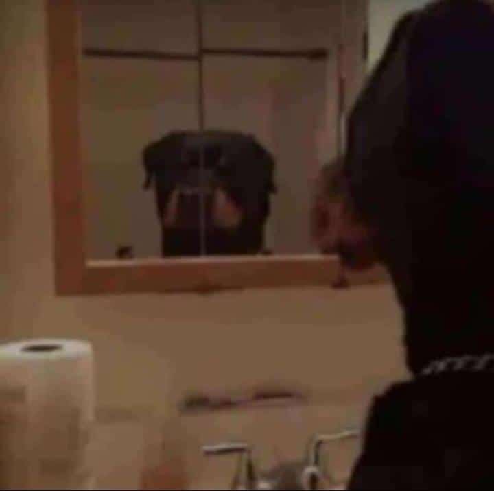 Lionel (@l_freeman_) on Twitter photo 