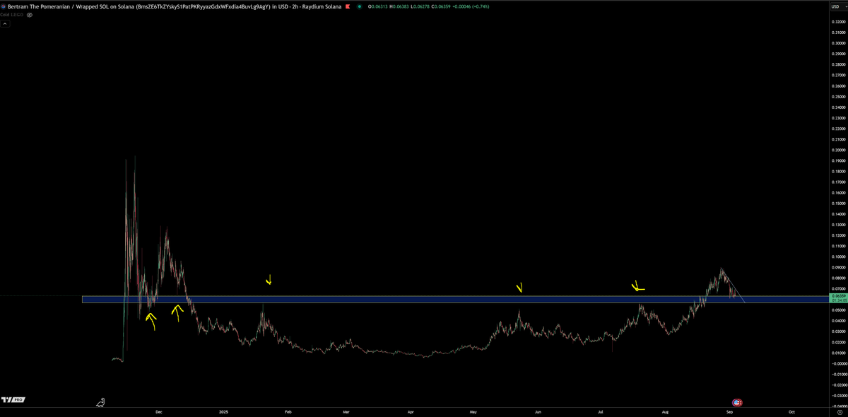 TraderSZ tweet media