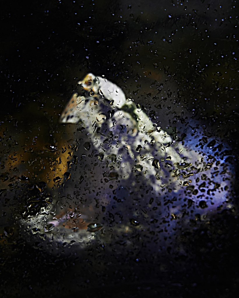 “O, My Love” is out now everywhere and we’re heading to the US this October 🦅 

🎫 Tickets are on sale now via grrrlgang.id

Tour poster by Tiny Studio
Single artwork by Elizabeth Kezia Widjaja