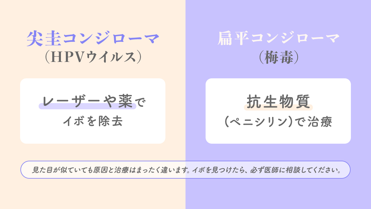 扁平コンジローマって何？尖圭コンジローマとどう違うの？間違えると治療法を誤る危険があります。必ず知っておきましょう！#性病 #HIV #HPV #尖圭コンジローマ #性教育 #健康相談