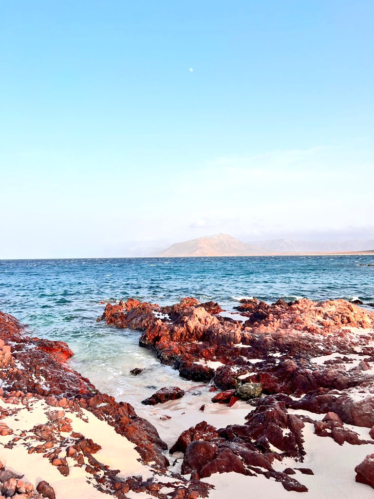 اللهم ⁩ ما قسمت في هذا اليوم من خير وبركة، وشفاء، وعافية، وسعة رزق، وإستجابة دعاء،فاجعل لنا منه أوفر الحظ والنصيب إنك على كل شيء قــــــــدير 

🌹 صبحكم الله بالخير 🌹
محمية #ذيحمري
#سقطرى