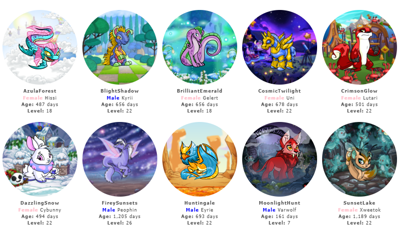 All my pretties <3 #Neopets