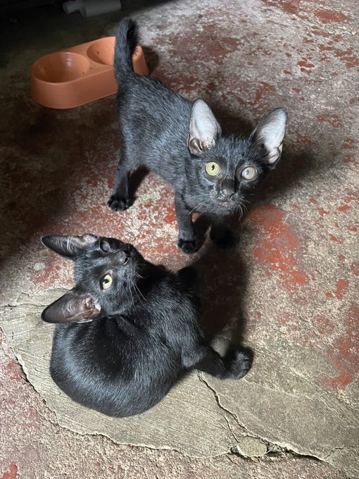 They both grew so fast 