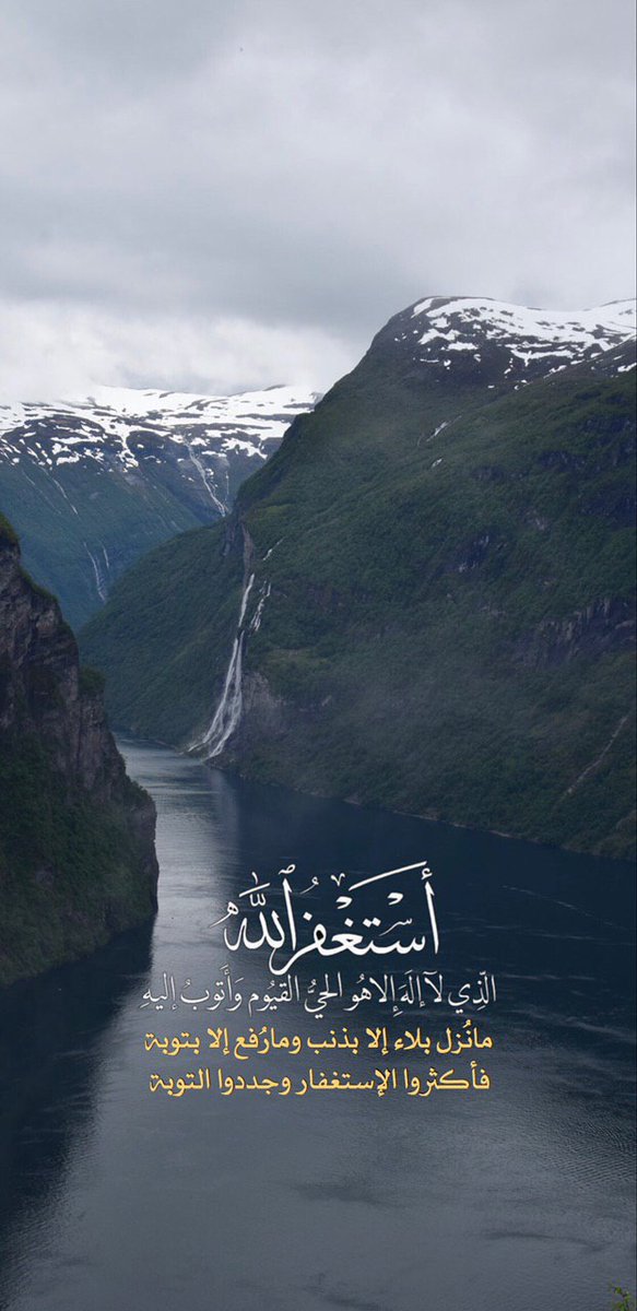 قلب الاسد (@tthiufxvvzhh0on) on Twitter photo 