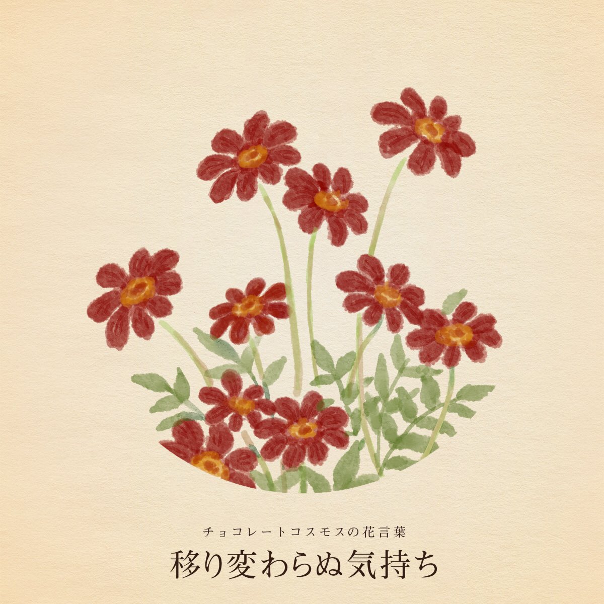 きょう9月24日は
清掃の日
畳の日
歯科技工士記念日
みどりの窓口記念日
海藻サラダの日
南洲忌
F・スコット・フィッツジェラルドの誕生日

誕生花はチョコレートコスモス
花言葉「移り変わらぬ気持ち」