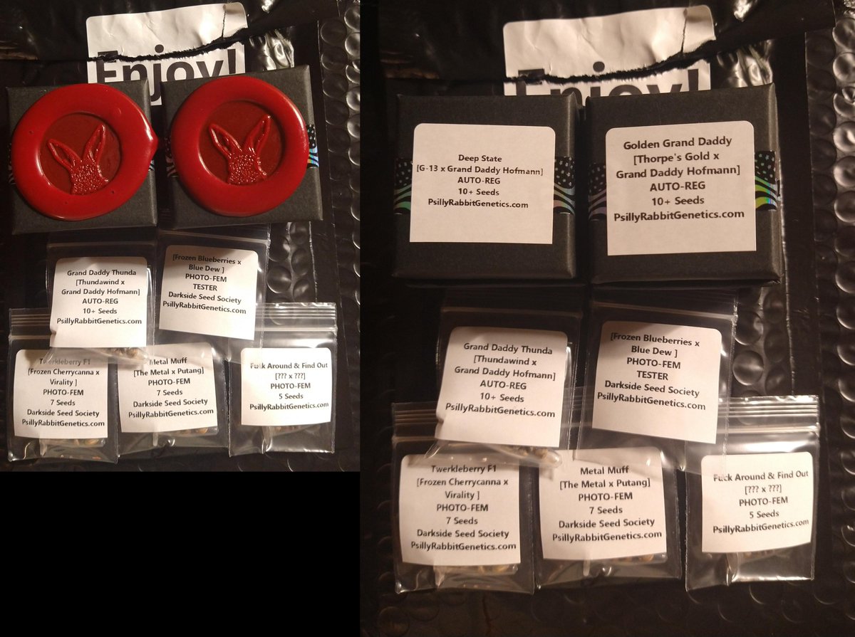 Big props to <a href="/PsillyrabbitG/">PsillyRabbit Genetics</a> for the Deep State giveaway winnings I received today, along with the unexpected photoperiod cultivars 🐰🔥

Also, very slick wax seal packaging 😎