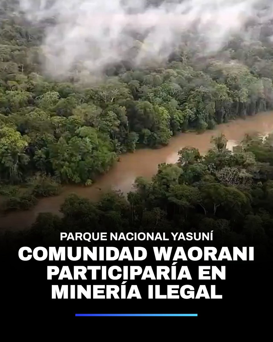 Una denuncia hecha por dos guardaparques detalla que los mineros ilegales, con la ayuda de dirigentes waoranis ingresaron una retroexcavadora y una procesadora de material aurífero en el Yasuní. 💻 bit.ly/3JMkwE4
