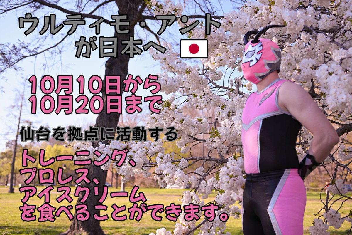 Ultimo Ant /ウルティモ・アント tweet media