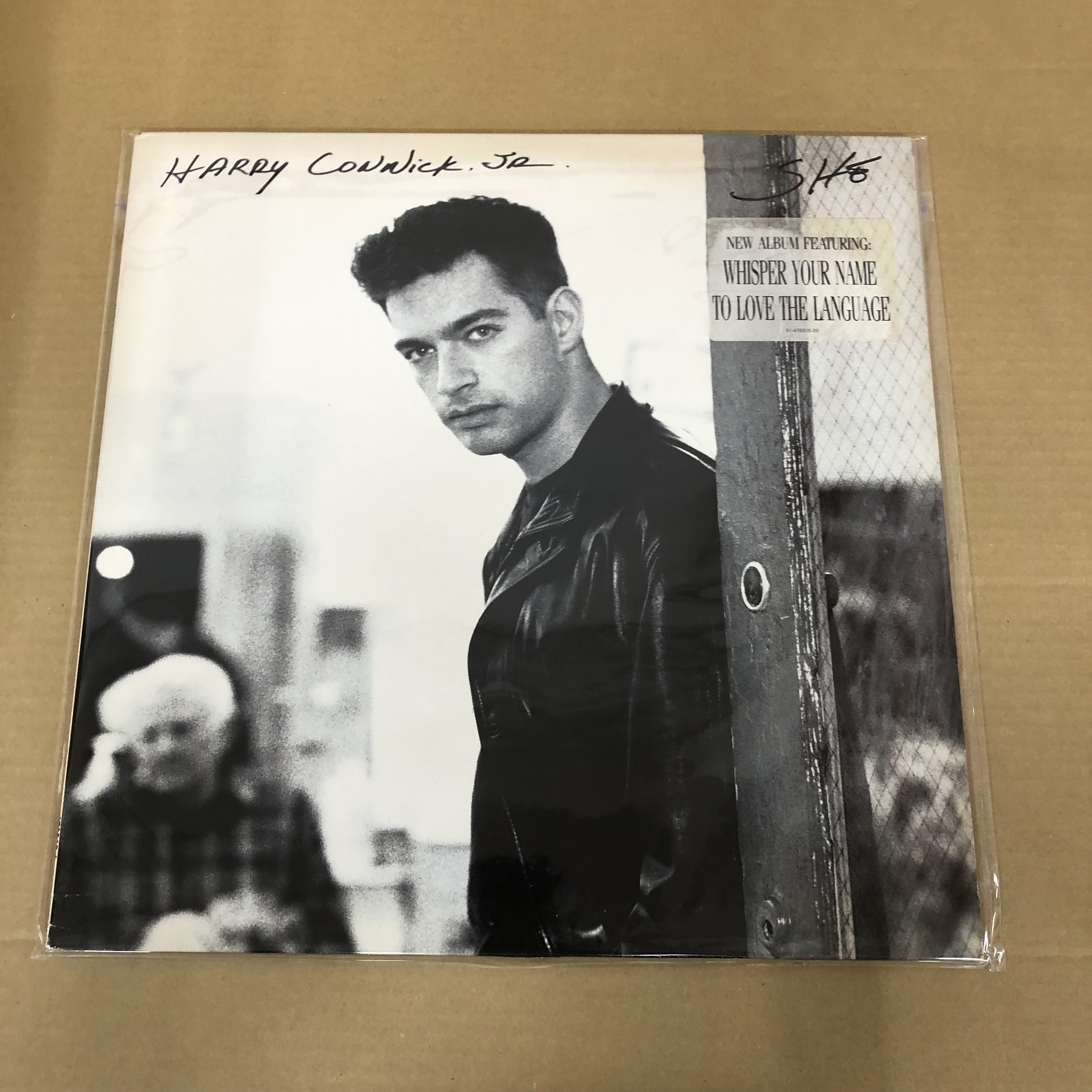Harry Connick Jr. she レコード 希少盤 Harry Connick Jr. she レコード 希少盤