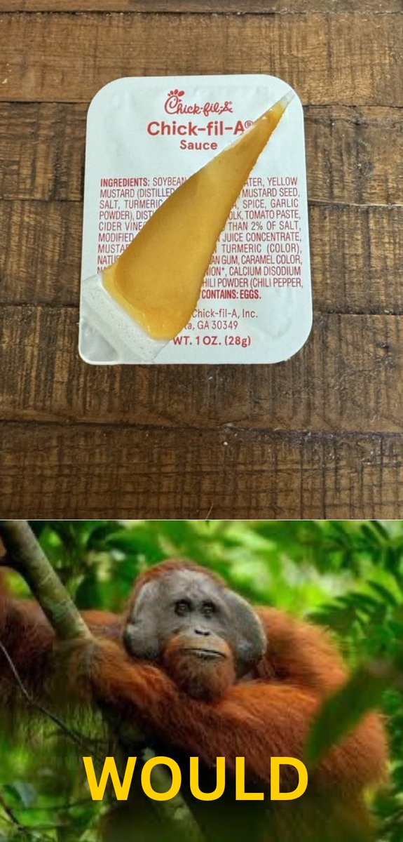 <a href="/hoaorangutan/">🍊Danny aka PapaTang🍊</a>