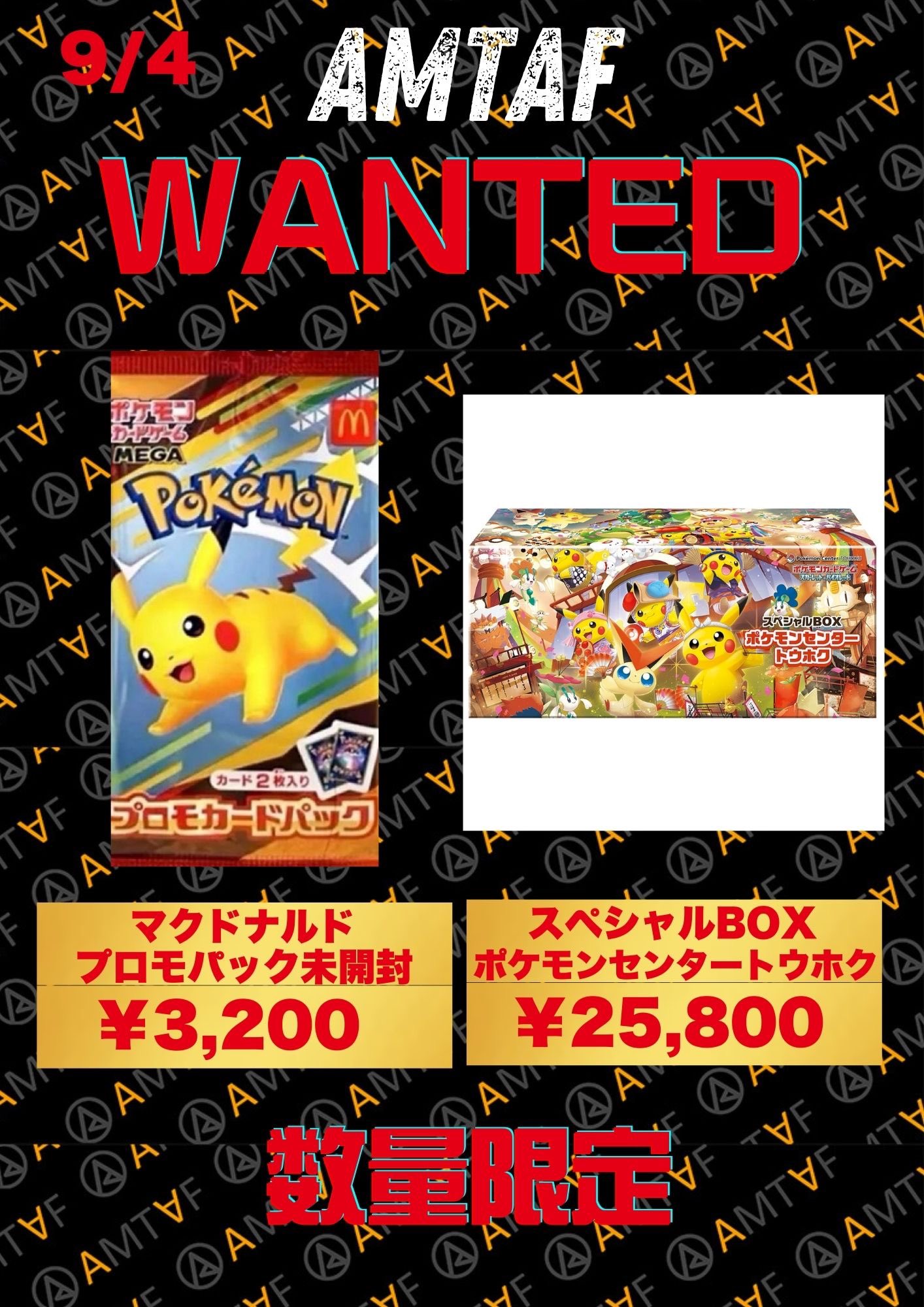 大特価！アルフのトレカBox トレカ ハーフサイズBOX用ケース セミハードローダー 10個セット