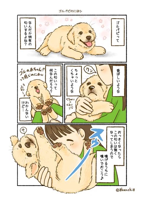 ゴルパピってかわいいにおいするよね👼 