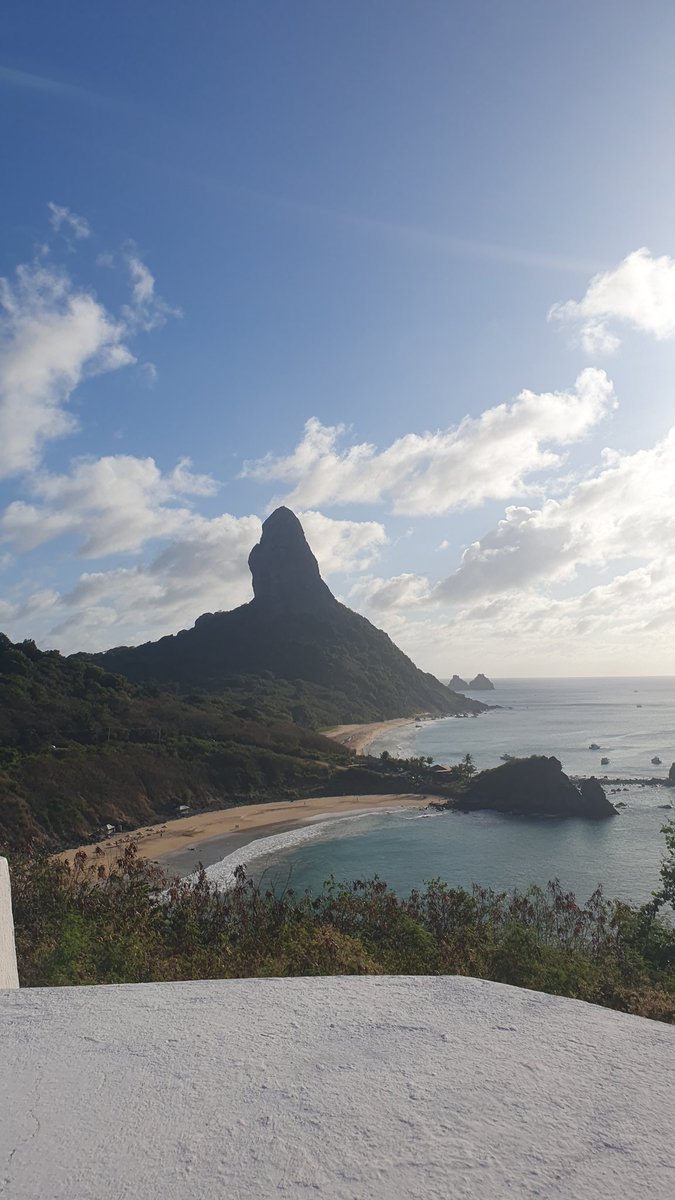 http_sonny's tweet image. Noronha