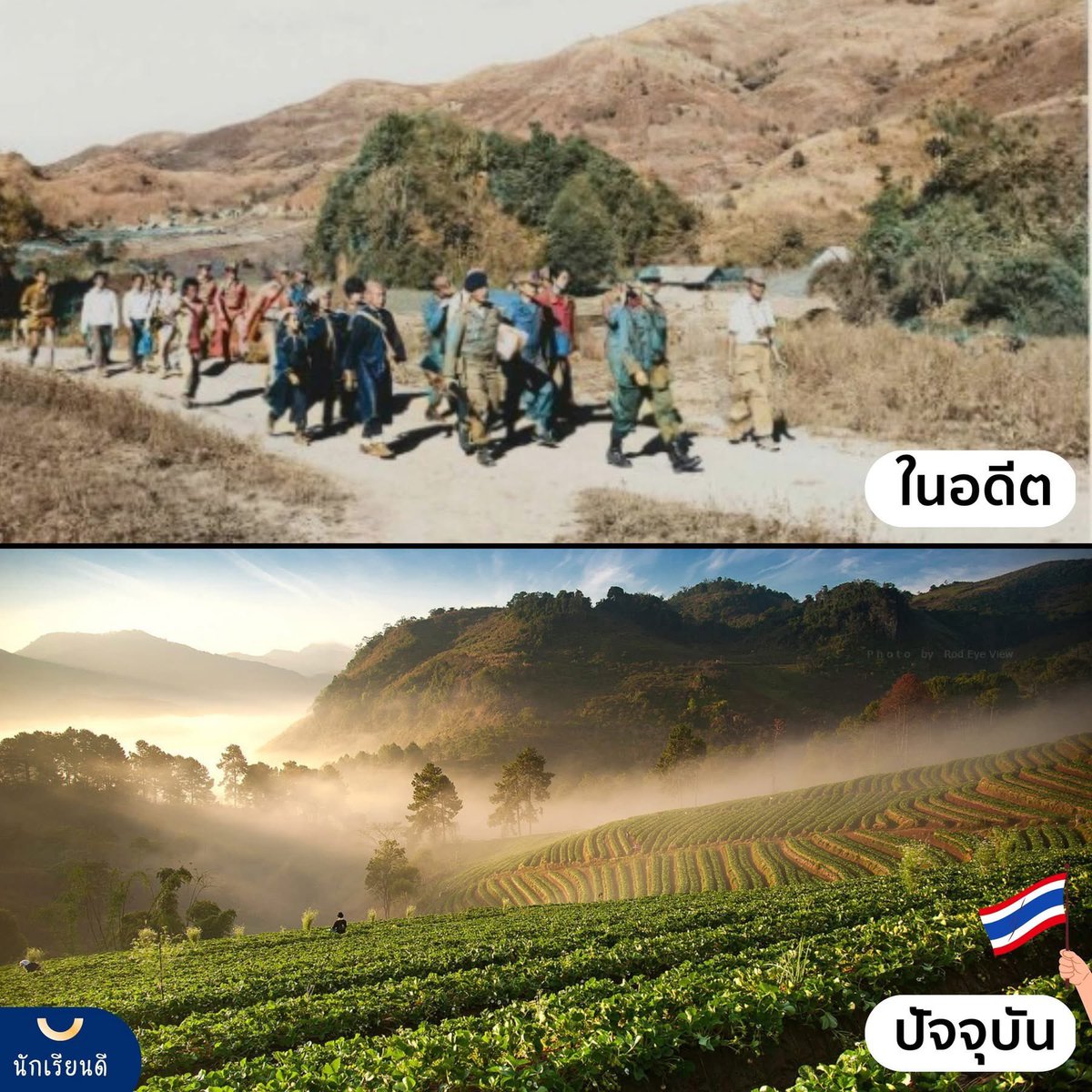 สถานีเกษตรหลวงอ่างขาง (จ.เชียงใหม่) ในอดีตและปัจจุบัน 🇹🇭
มีทุกอย่างที่ดีเพราะใคร ฉันไม่เคยลืม 🙏💛

#นักเรียนดี