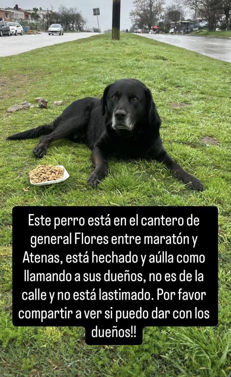 Me destruye porque además es viejito 🥺