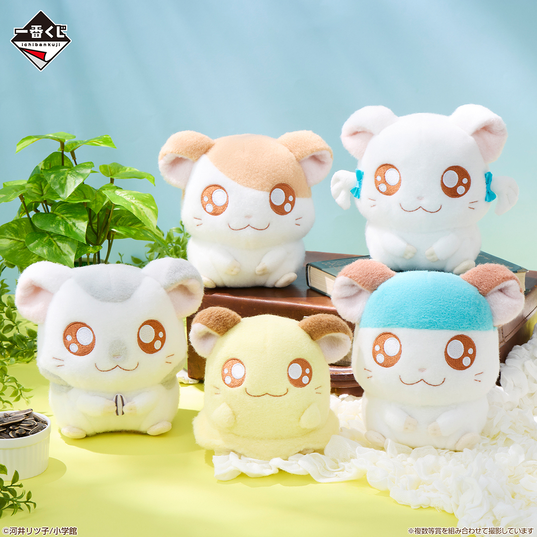 【新品】とっとこハム太郎　キャラ福くじ　1ロット とっとこハム太郎」キャラ福くじ 実物写真のご紹介