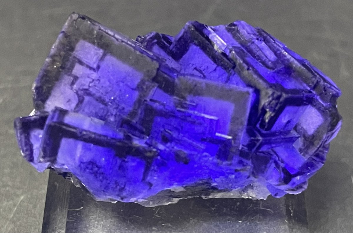 内モンゴル自治区Horqin Left Rear Bannerから非常に面白いフローライトが今年新しく採掘されました。
QRコードタイプフローライトとは異なり、縁取りされたような層は厚みがあり、さらに個体差はありますが内部が緑色に透けるものが多く、蛍光も強烈なかなりユニークなフローライトです。
9月鉱物デー