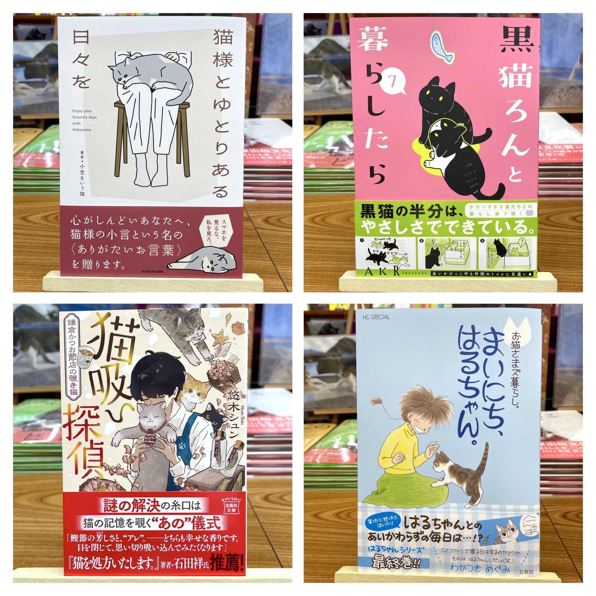 黒猫のわ〜る様 黒猫 on X: 