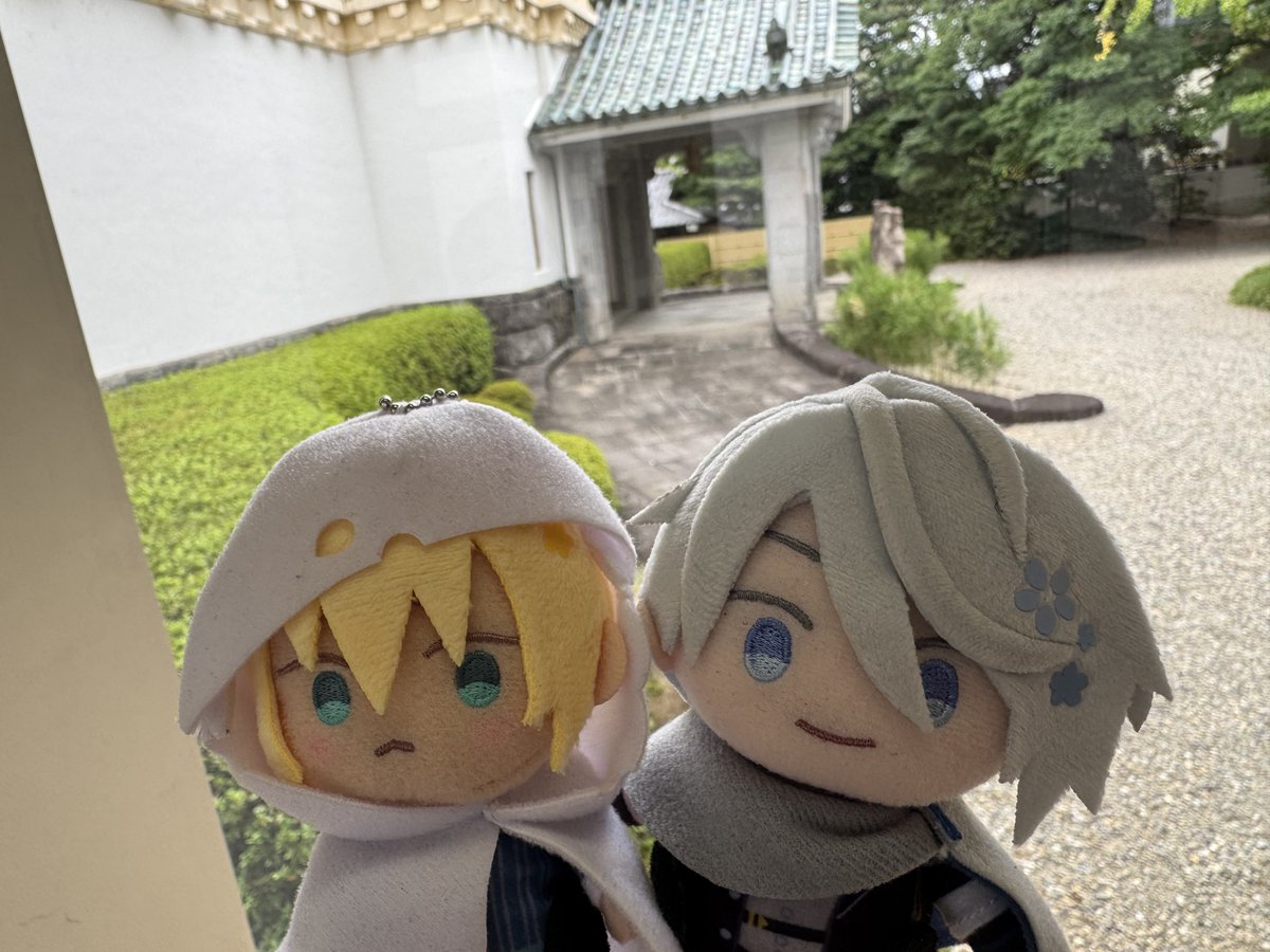 珍しく並んでる