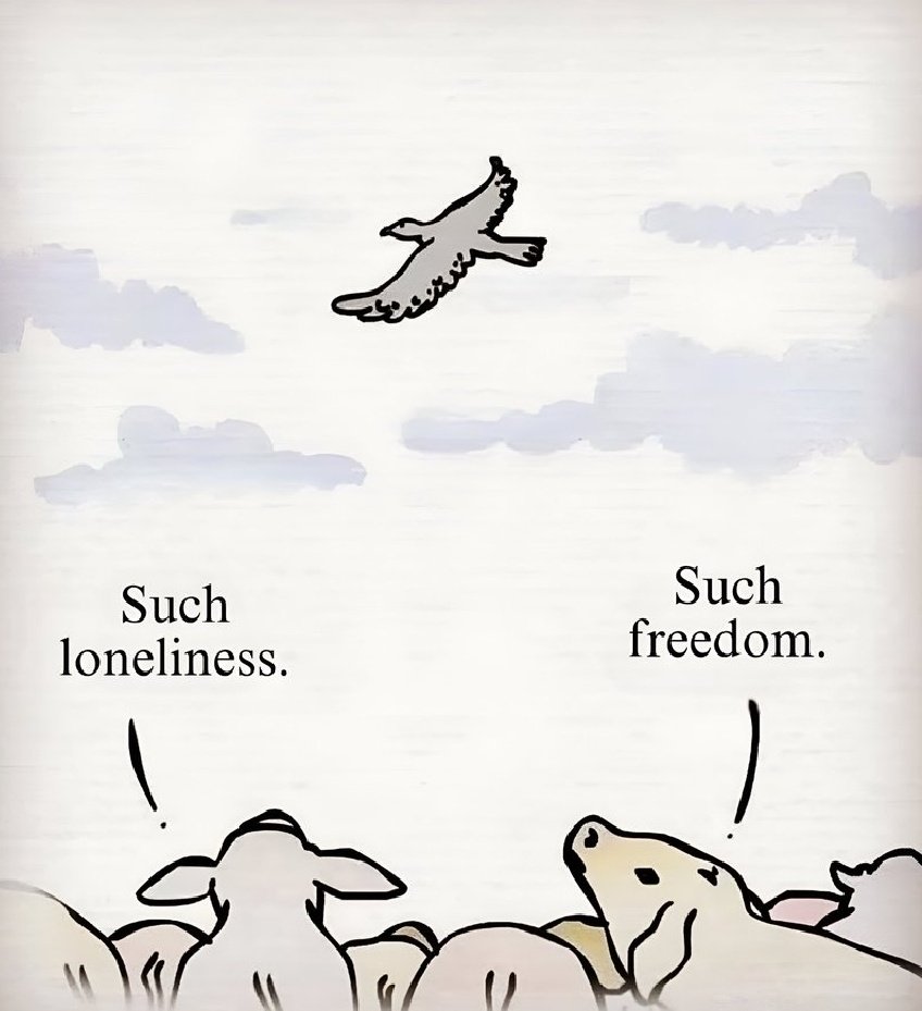 Learn Something tweet media