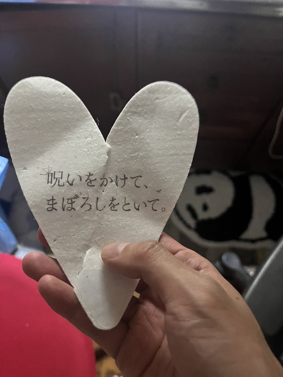 あのちゃんの武道館🐼
ノスタルジーに浸る、そんな隙間なく、
眼前の変わらない変われないあのちゃんの姿、衝動にぶっ飛ばされた
「お互い生きててよかったねっ」に包まれてた
裏で何度も死にかけてて、ボロボロになってても前に進んでたね
お互い今はまだ生きてる、それがなによりも嬉しいんだぜ🐼✌️