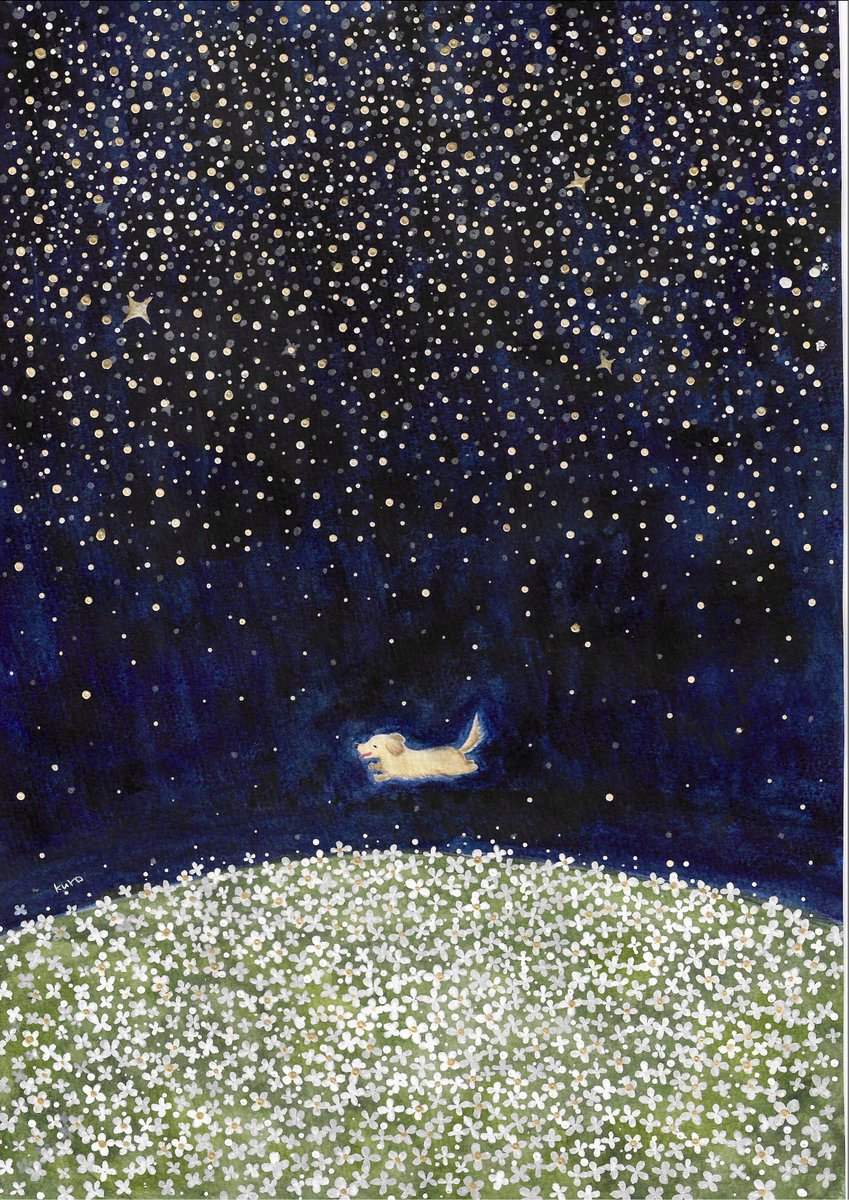 花畑と、夜空と、ダックスフンド

#イラスト #水彩