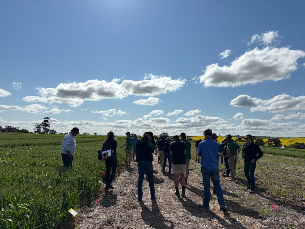 SLR - Field Research | Extension tweet media