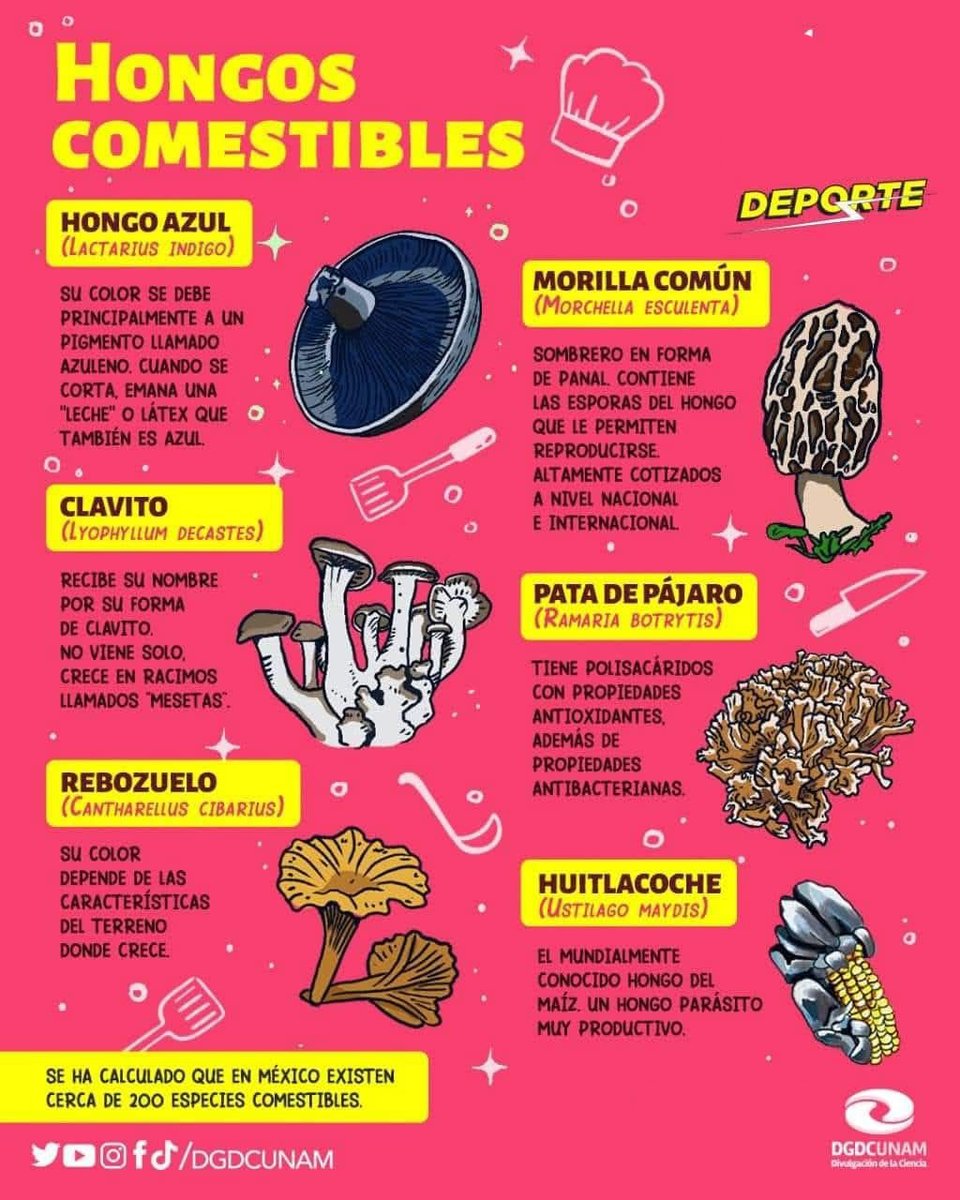 UNAM tweet media
