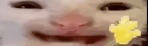 Crash Landing Studios tweet media