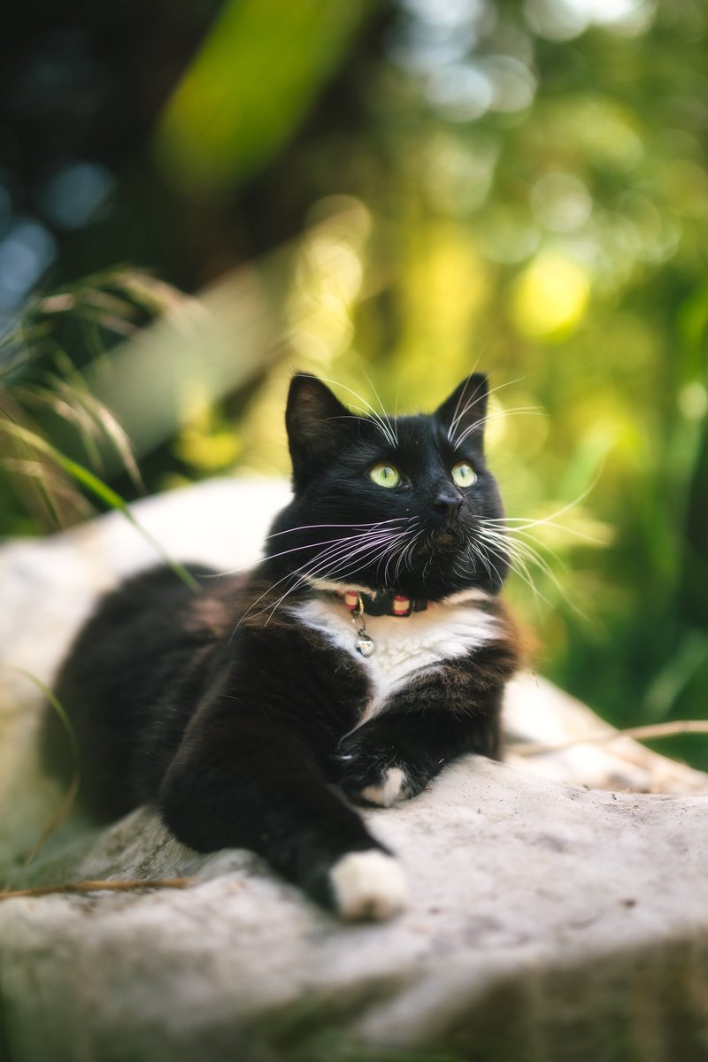 Bekah ö 📷 tweet media