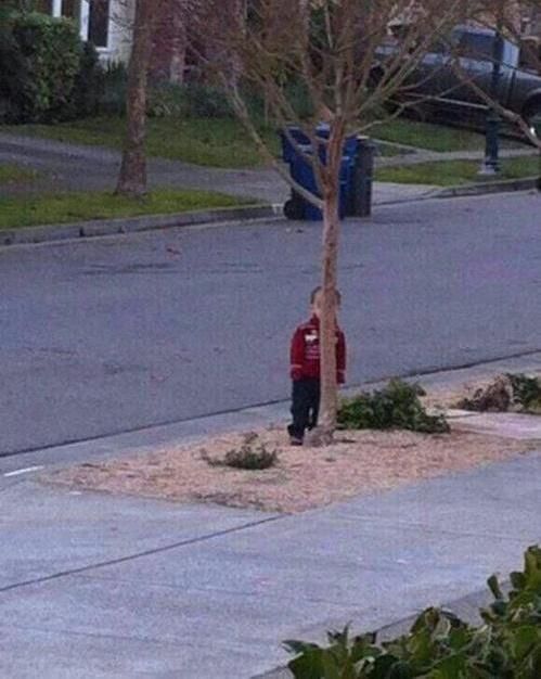 Todos bardeando a los fifas por bardear a Alpine
Yo: