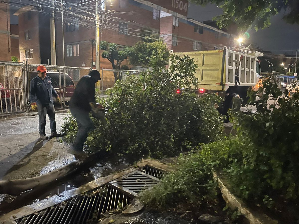 <a href="/AsocFracc/">Asociación de Fraccionamientos</a> <a href="/PueblaAyto/">Puebla Gobierno de la Ciudad</a> <a href="/ClementeGomezM/">Clemente Gómez Medina</a> <a href="/pepechedrauimx/">Pepe Chedraui 🇲🇽</a> Buenas noches, en coordinación con Protección Civil, personal de esta dependencia realizó el retiro del desecho vegetal.