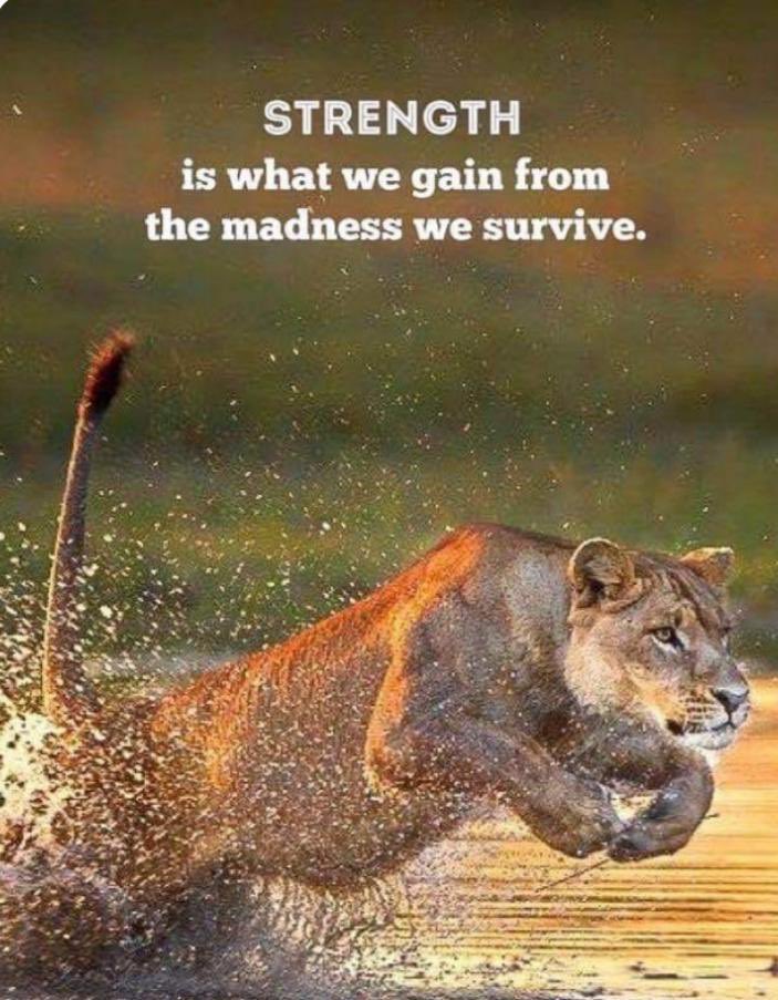 On the path of Love we are neither masters nor the owners of our lives.
We are only a brush in the hand of the Master Painter.                               

🙏Happy Morning 🙏