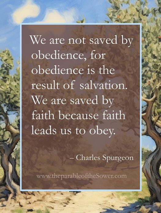 Steve Mathisen No DM's tweet media