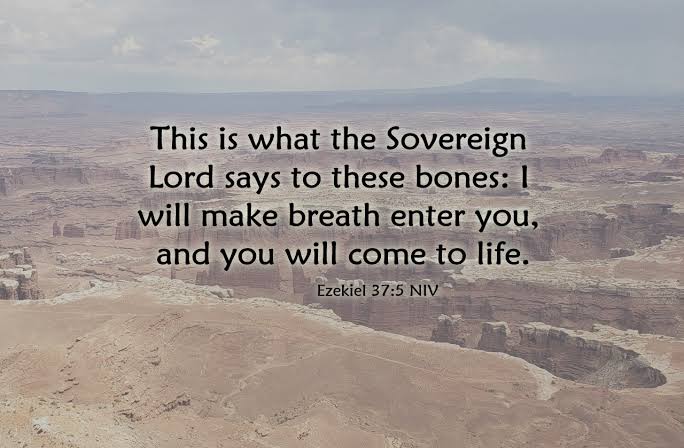 TheGodlyWisdom's tweet photo. Daily Verse - Ezekiel 37:5 https://t.co/7E4R3LxqsW