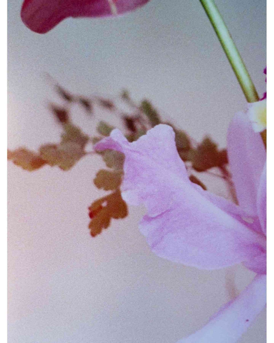 Kuldeep35551692's tweet image. Invest in experiences, not just stocks. High ROI comes from memories made! #InvestInLife