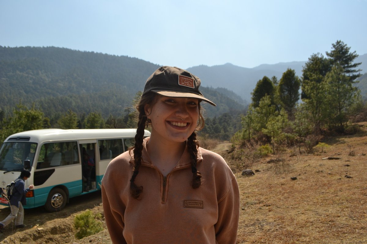 The Tiger Moth Review tweet media