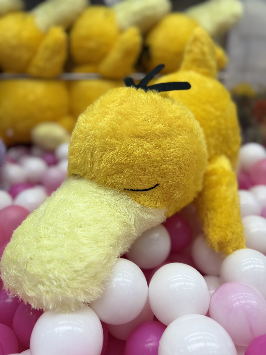 コダック ねん りき ポケプラクイック コダック レビュー