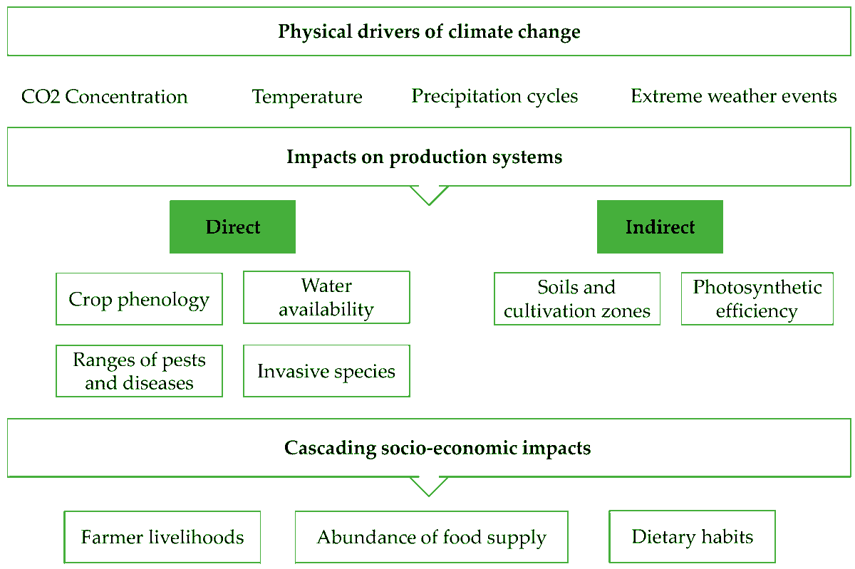 Encyclopedia MDPI tweet media