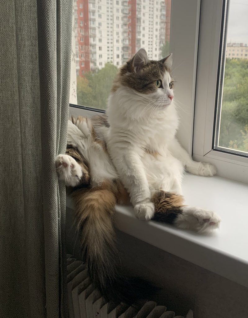 как же хочется чего-то сладкого до чаю.
но из сладкого дома только он: