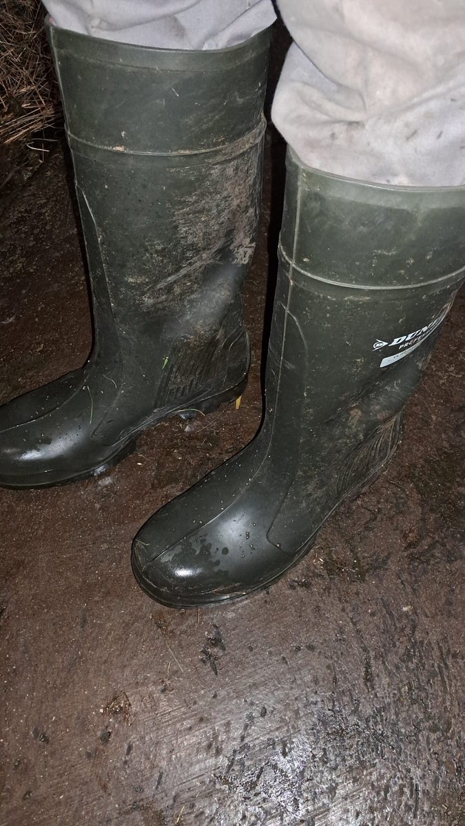 Seppi90 (@seppi88605) on Twitter photo 