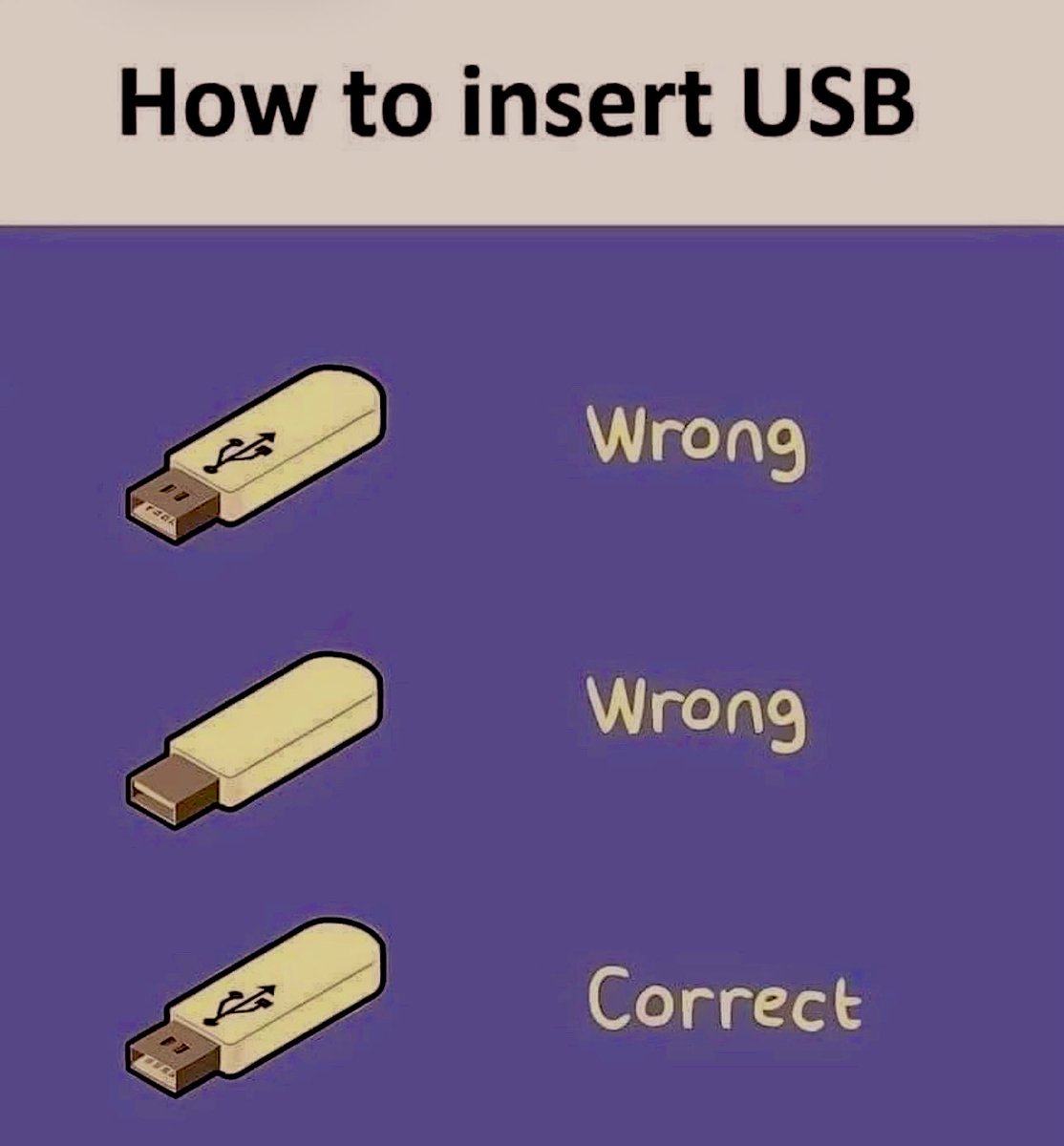 LadyChanene's tweet image. I’m not very technologically savvy but this is the best way to get a USB to work.😂

Or maybe it’s the only way I can get a USB to work🥺:)

 #teacherhumor #diagram #anchorchart  #textfeatures #USB