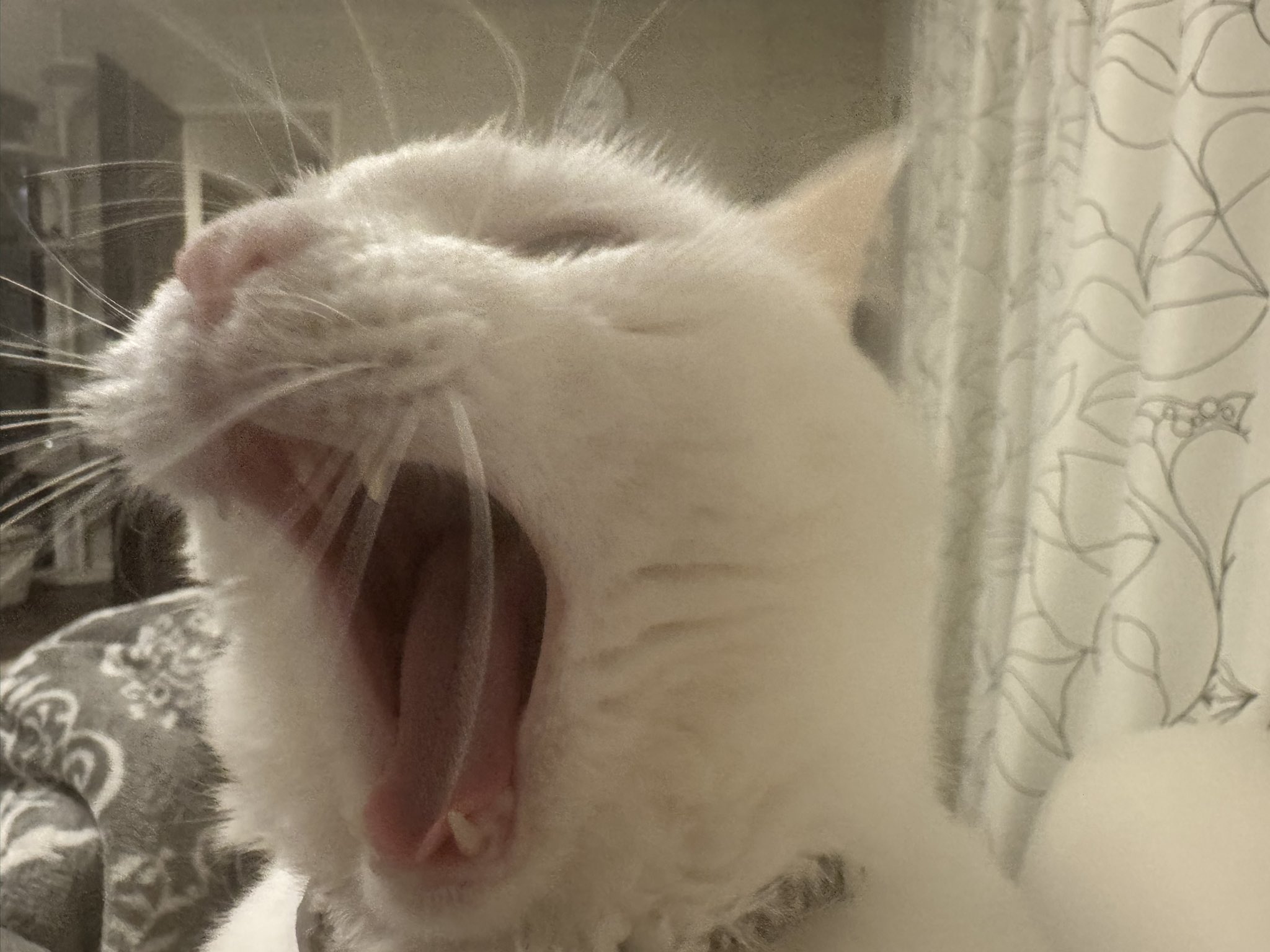 空 ゲーム ゲームソフト 0229 27 Z/X -Zillions of enemy X