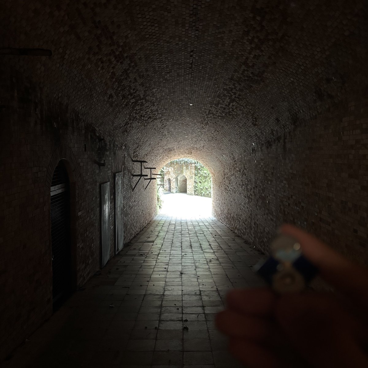 rote_ps's tweet image. Amy