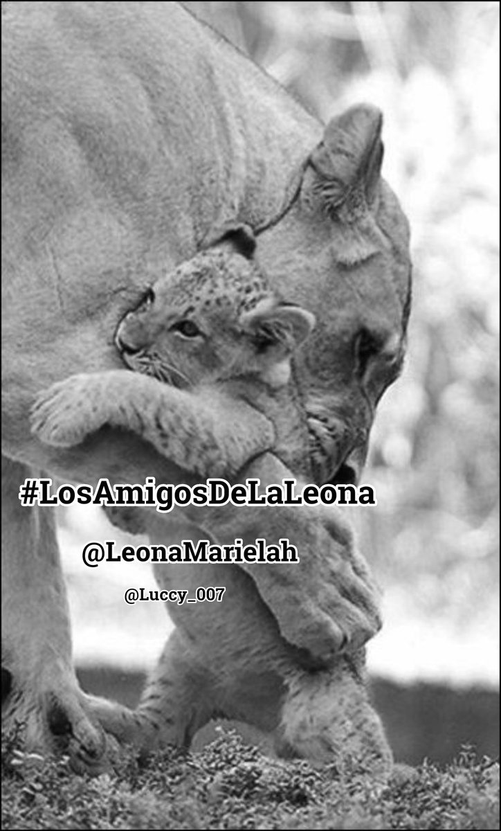 <a href="/LeonaMarielah/">MarielaDeSonora</a> <a href="/PoetsUrbana/">Angy Urbana♥️📖</a> <a href="/IreneVarMex/">𝕚𝕣𝕖𝕟𝕖 🜲</a> <a href="/Ladoluninoso121/">🅳🅾🆁🆈</a> <a href="/_Pili77_/">María</a> <a href="/Luccy_007/">Lucy</a> <a href="/StephaMichX/">Stephany</a> <a href="/puccatuit/">Puca</a> <a href="/PatyTmUs/">Paty</a> <a href="/Laury_otero_/">Laura</a> <a href="/Fany_2123/">@Fany</a> <a href="/elsaaranda217/">Elsa 💄👠</a> <a href="/Cast7Vanessa/">Vanessa</a> <a href="/Charito857/">Charito Perez</a> <a href="/Alyce_x_x_/">Alice</a> <a href="/LucyXX45/">Lucy</a> Gracias por la mención Mariela hermosa 😘 sigo a todos #LosAmigosDeLaLeona🦁